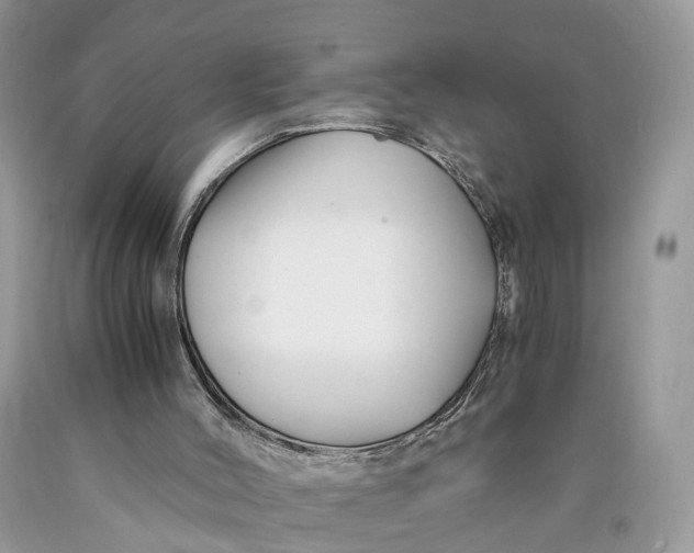 X0000089920004200707201828