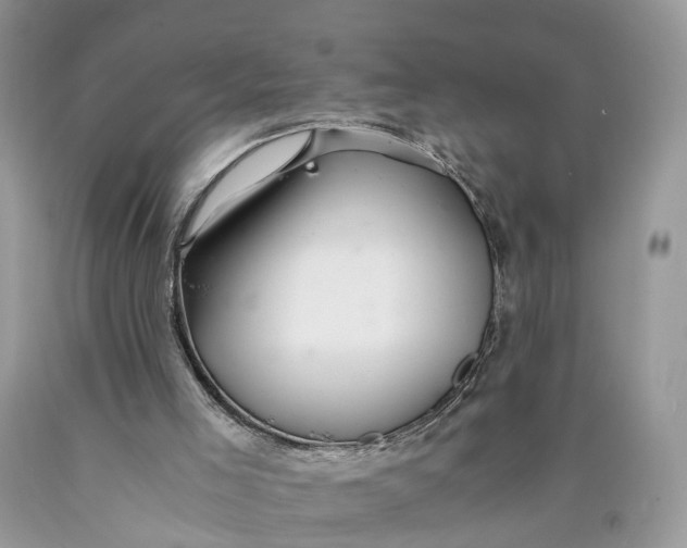 X0000089920005200707201828