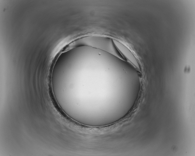 X0000089920007200707201828