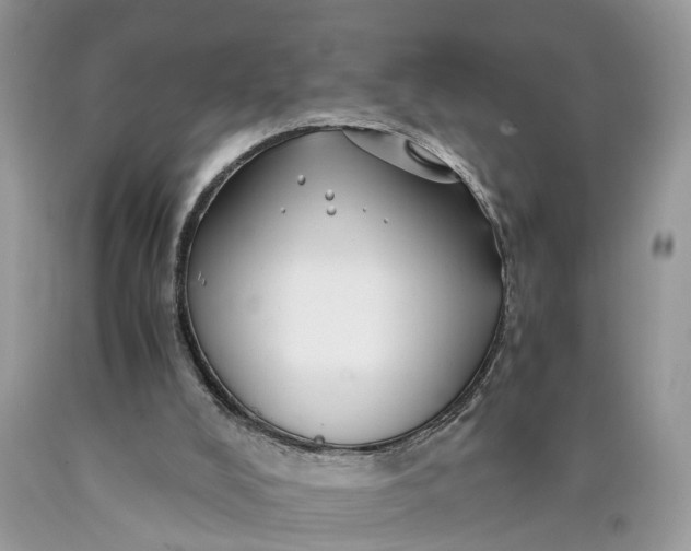 X0000089920008200707201828