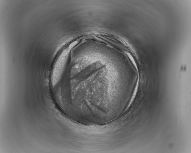 X0000089920010200707201828