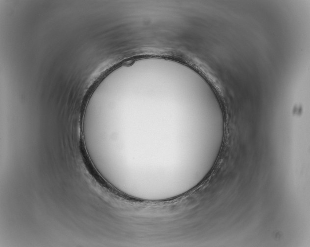 X0000089920011200707201828