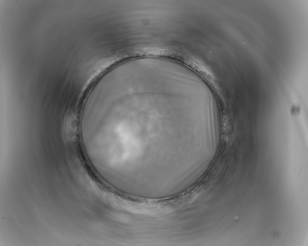 X0000089920012200707201828