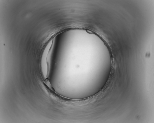 X0000089920013200707201828