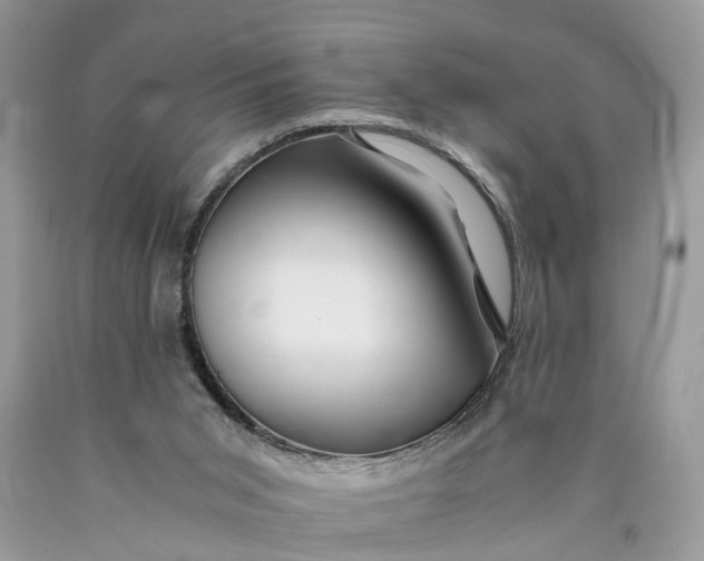 X0000089920015200707201828