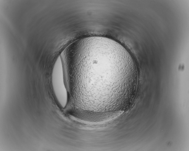 X0000089920017200707201828