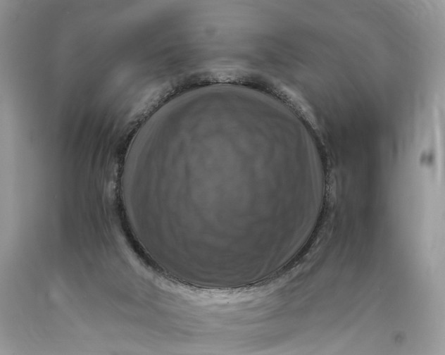 X0000089920018200707201828