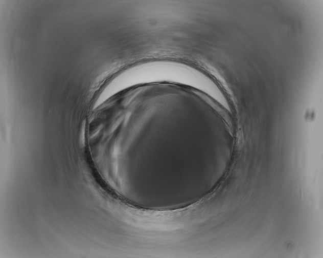 X0000089920019200707201828