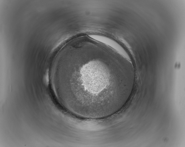 X0000089920020200707201828