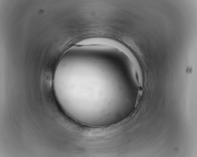 X0000089920021200707201828