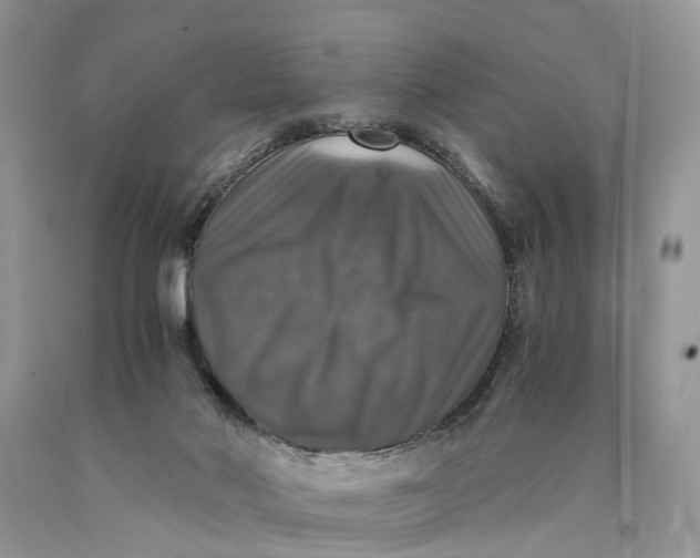 X0000089920022200707201828