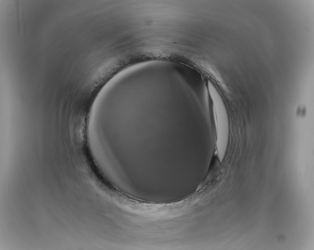 X0000089920023200707201828