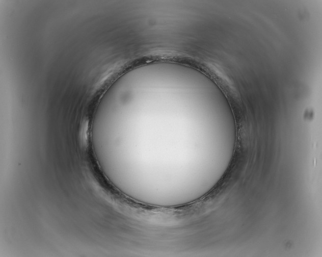 X0000089920024200707201828