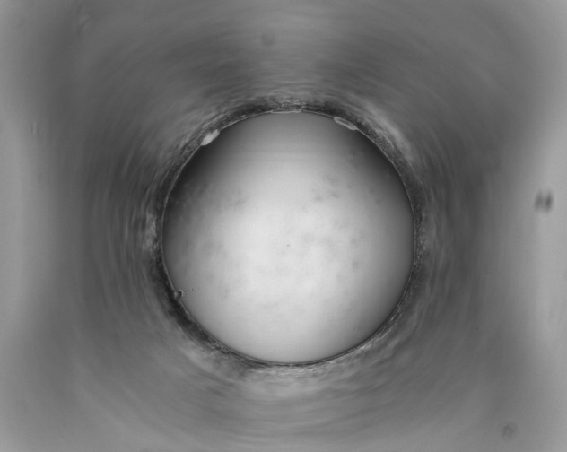 X0000089920025200707201828