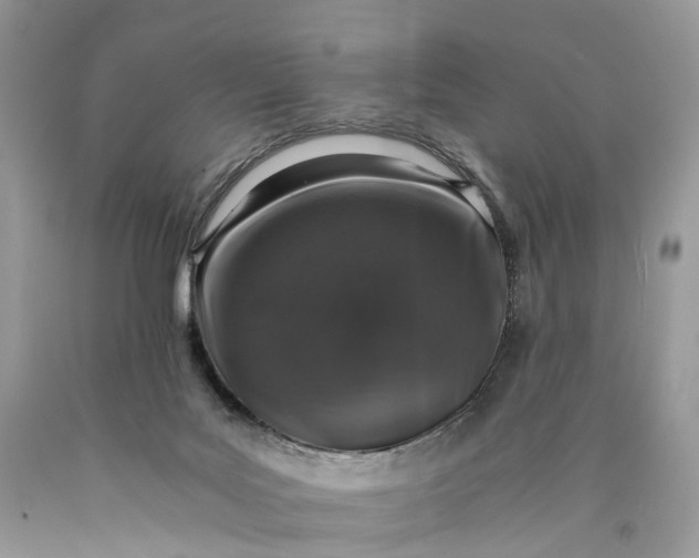 X0000089920027200707201828