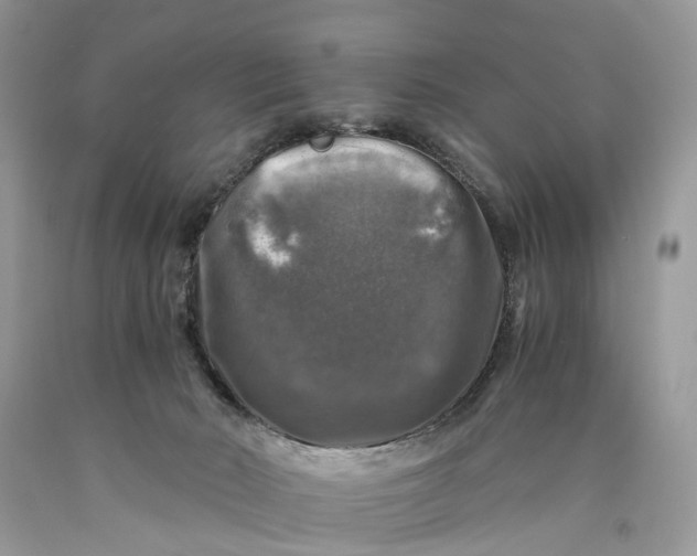 X0000089920030200707201828