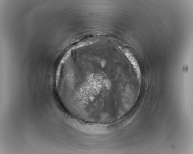 X0000089920032200707201828