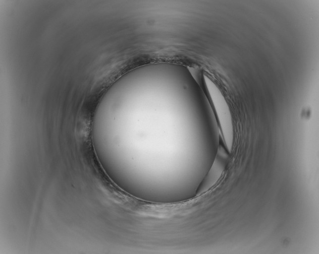 X0000089920033200707201828