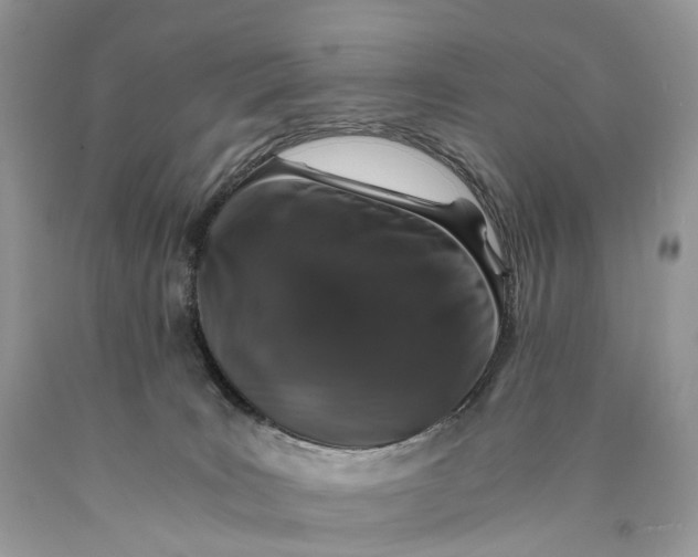 X0000089920035200707201828