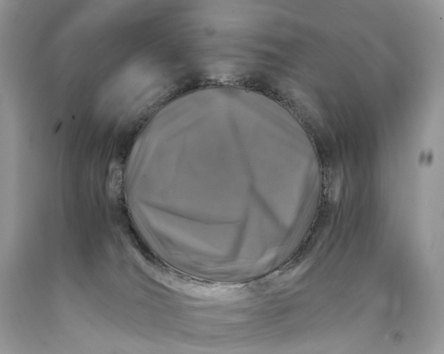 X0000089920036200707201828