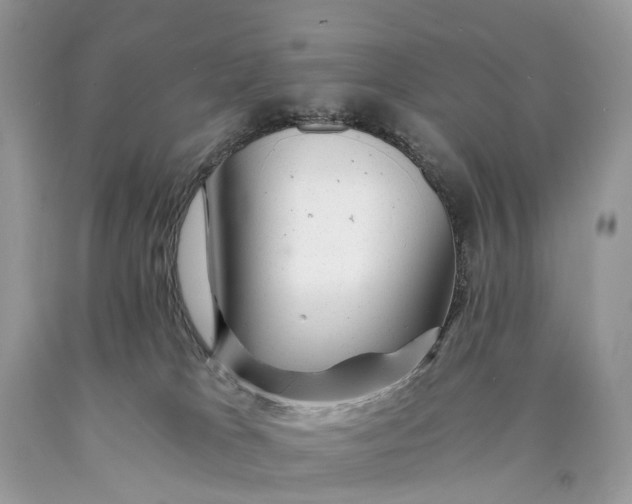 X0000089920037200707201828