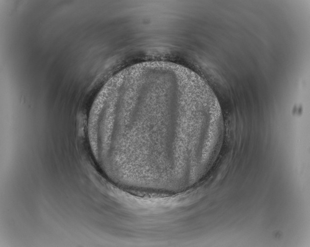 X0000089920038200707201828