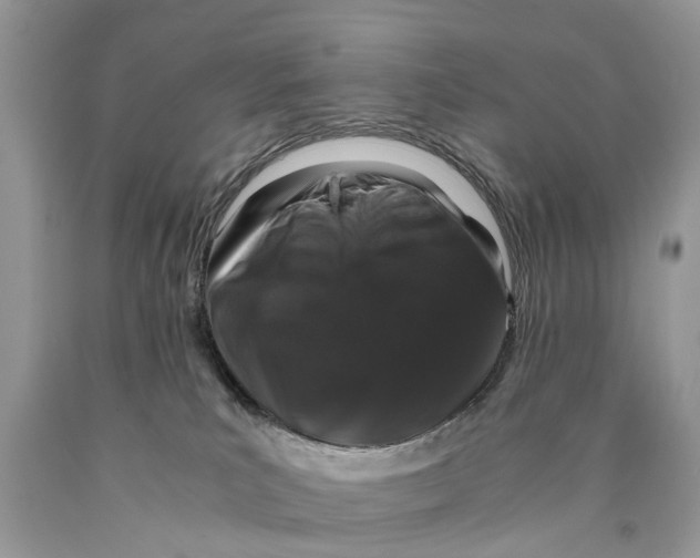 X0000089920039200707201828