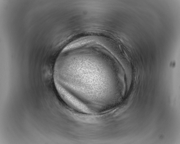 X0000089920040200707201828