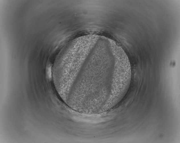 X0000089920042200707201828