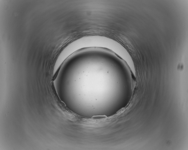 X0000089920045200707201828