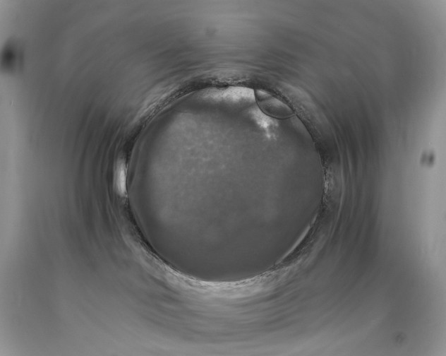 X0000089920046200707201828