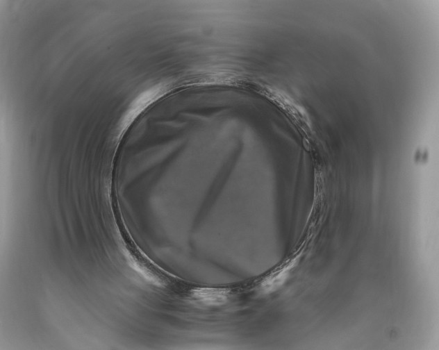 X0000089920051200707201827