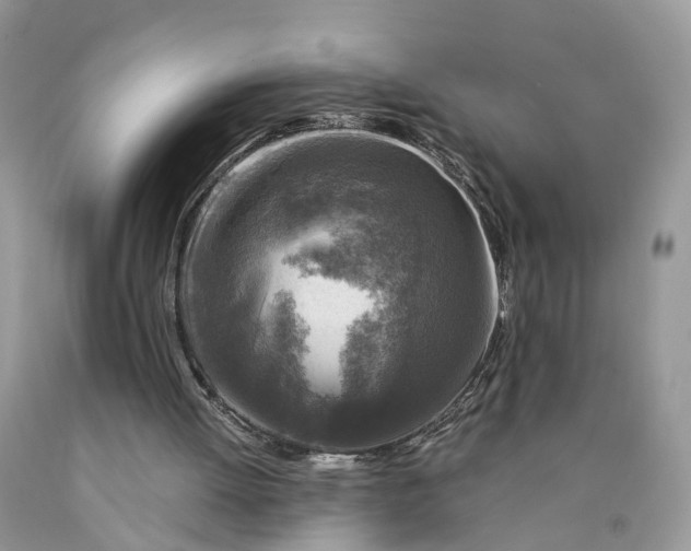 X0000089920052200707201827