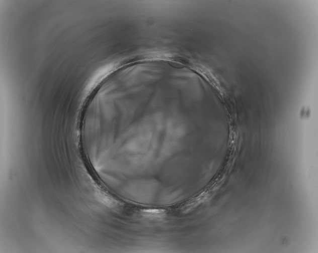 X0000089920053200707201827