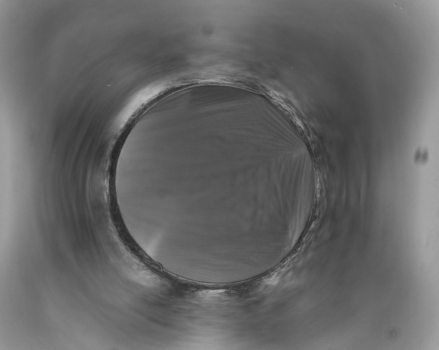 X0000089920054200707201827