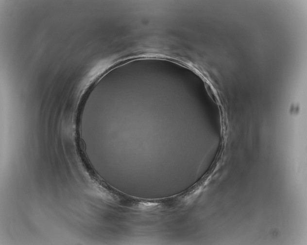 X0000089920055200707201827