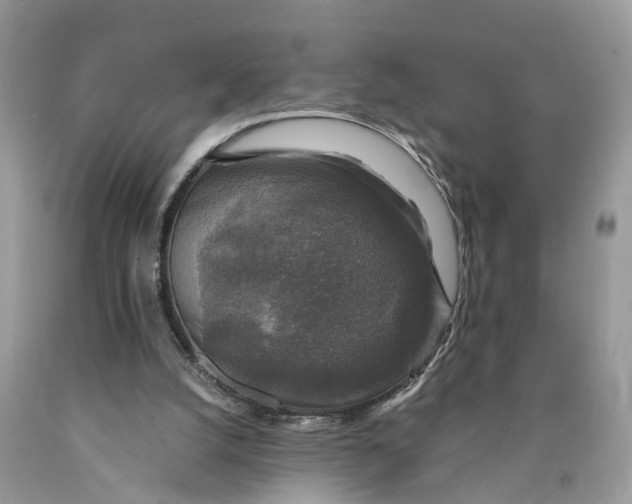 X0000089920056200707201827