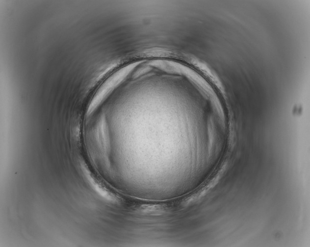 X0000089920057200707201827