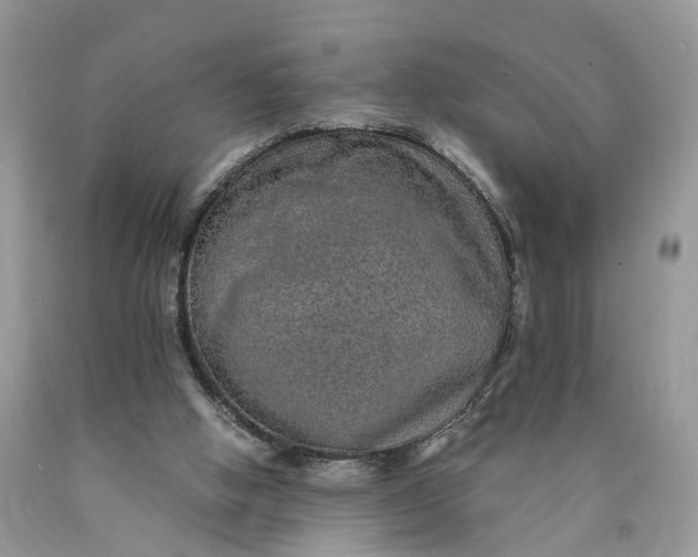 X0000089920058200707201827