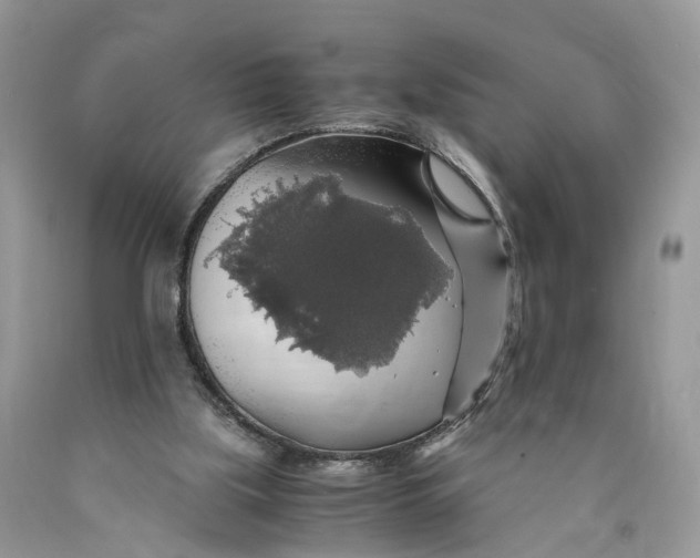 X0000089920059200707201827