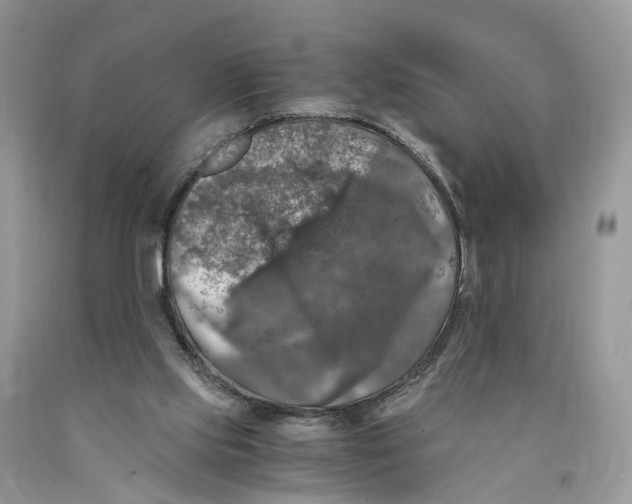 X0000089920061200707201827