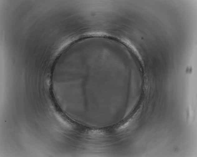 X0000089920063200707201827