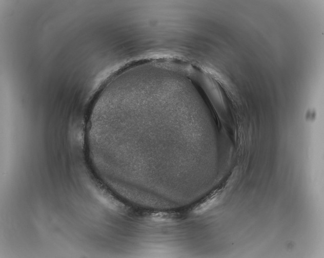 X0000089920064200707201827