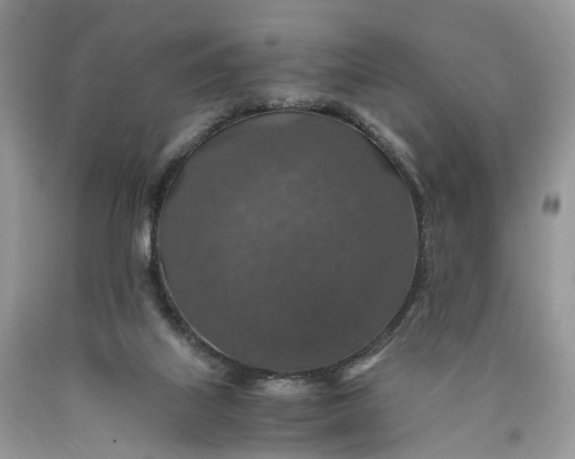 X0000089920067200707201827