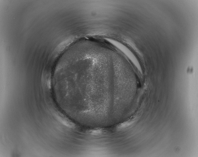 X0000089920068200707201827