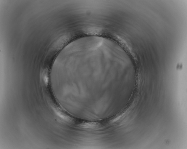 X0000089920069200707201827