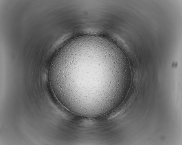 X0000089920071200707201827