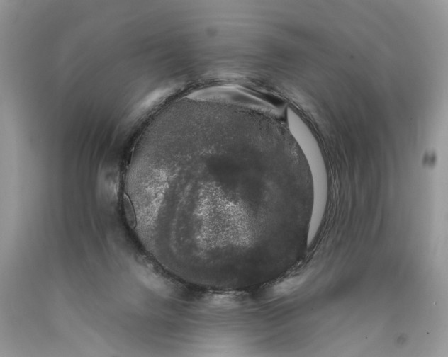 X0000089920072200707201827