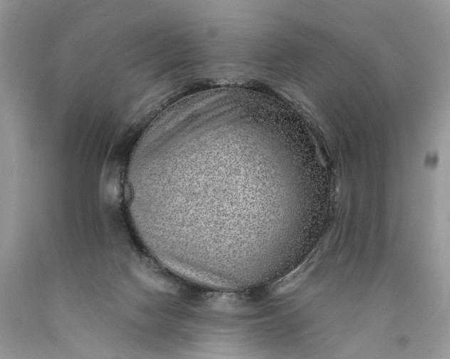 X0000089920074200707201827