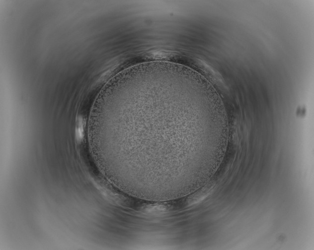 X0000089920075200707201827